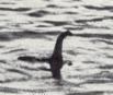 lochness_monster2.jpg